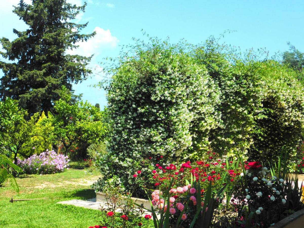 Willa Olga'S Hill Perama  Zewnętrze zdjęcie